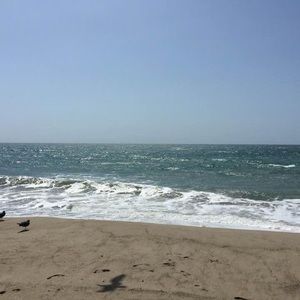 Meet your Posher, Sherry